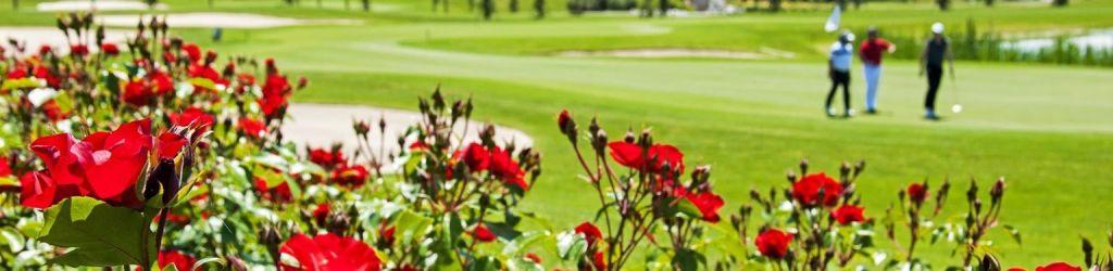 Garda Hotel San Vigilio Golf - Benaco / Solferino cover image