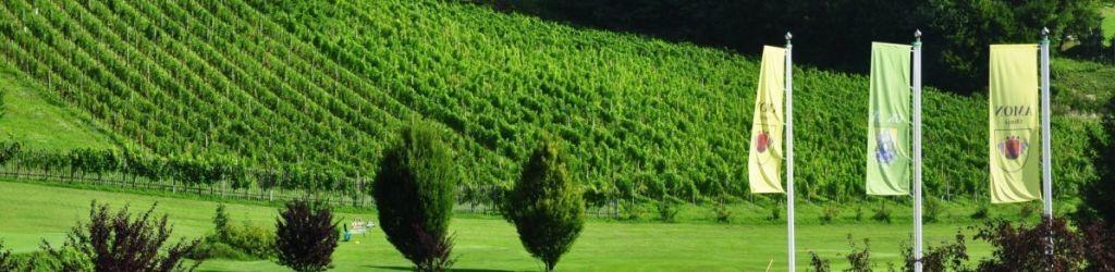 Golf A Olimje cover image