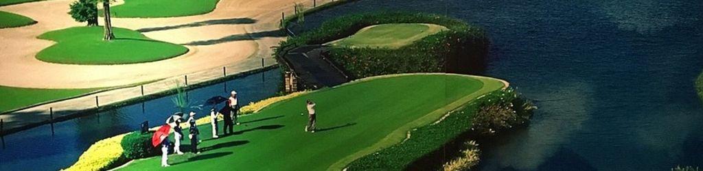 Summit Windmill Golf Club cover image