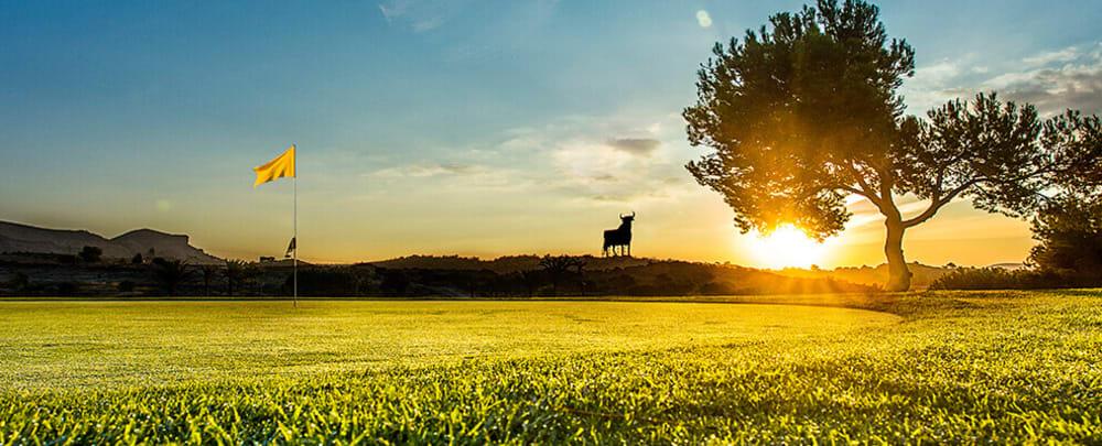 Golf course - Alenda Golf