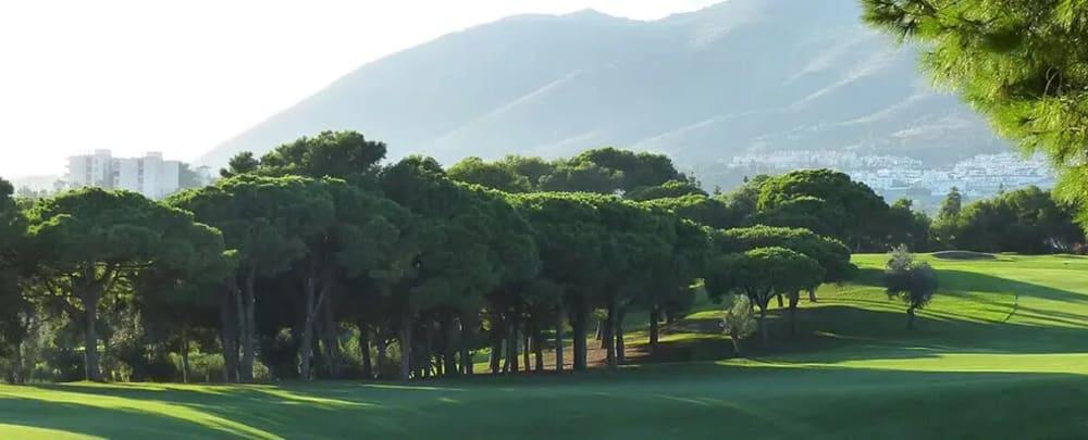 Golf course - Golf Torrequebrada