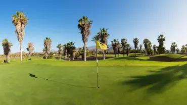 Golf course - Golf del Sur Links Course
